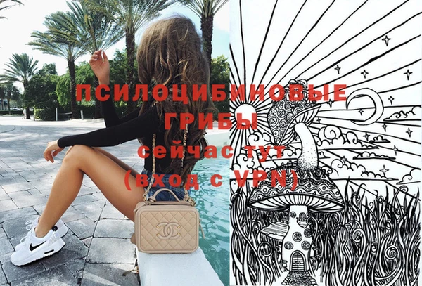 бошки Алексеевка