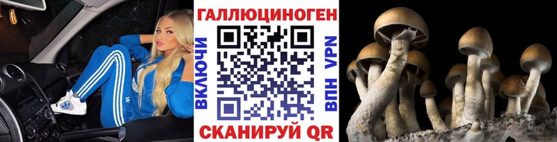 Псилоцибиновые грибы прущие грибы  купить наркоту  Саки 