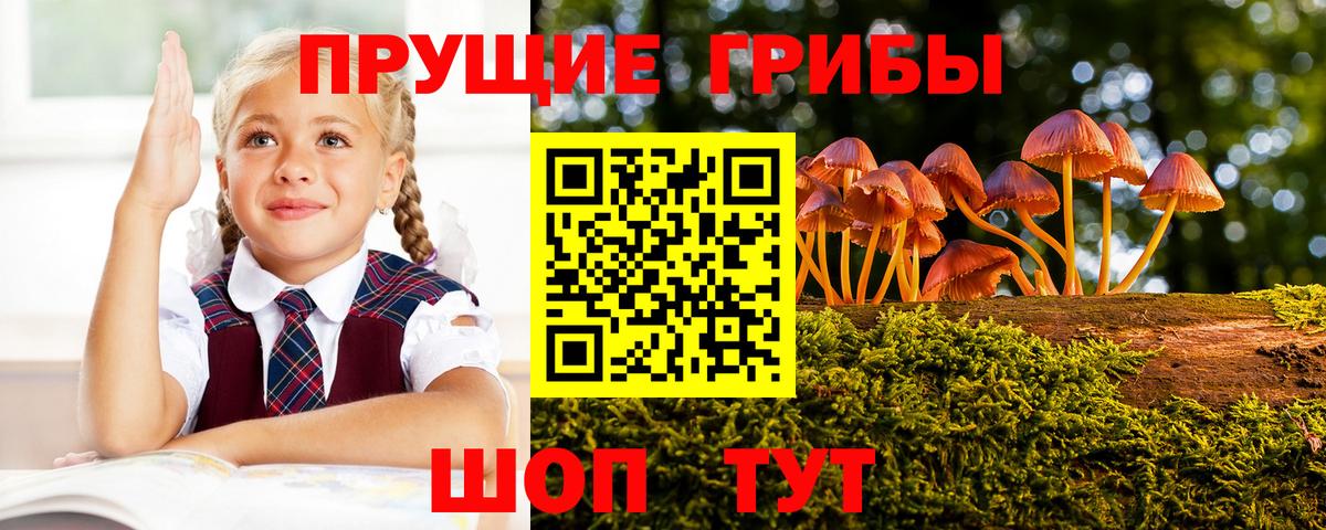 Саки  Псилоцибиновые грибы мицелий  Псилоцибиновые грибы Magic Shrooms  Вход с VPN 