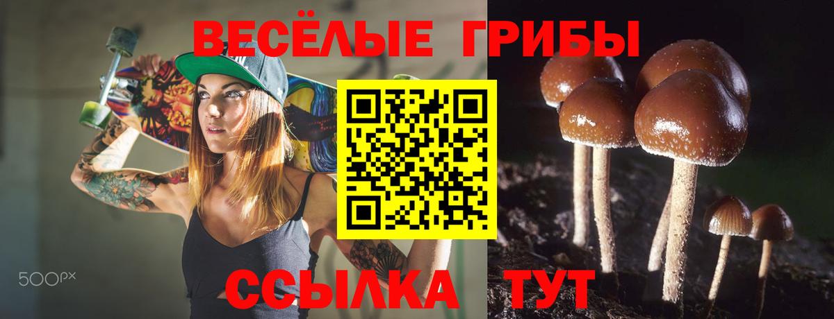 Галлюциногенные грибы прущие грибы Саки